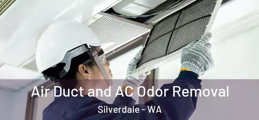 Air Duct and AC Odor Removal Silverdale - WA