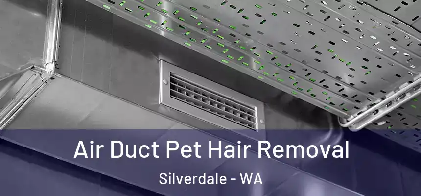  Air Duct Pet Hair Removal Silverdale - WA