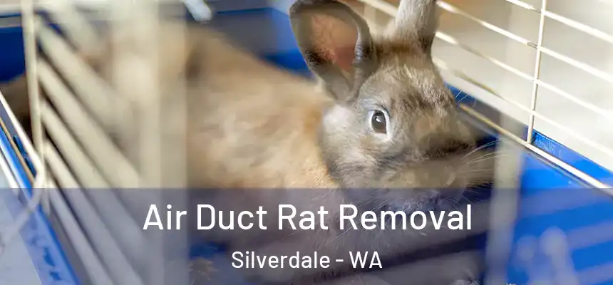 Air Duct Rat Removal Silverdale - WA