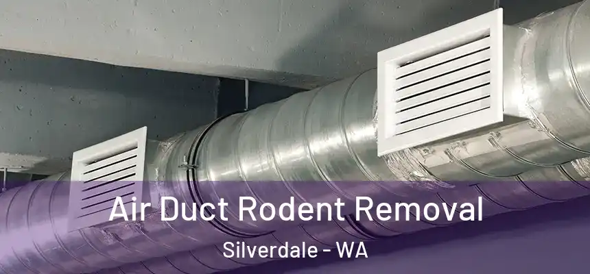Air Duct Rodent Removal Silverdale - WA