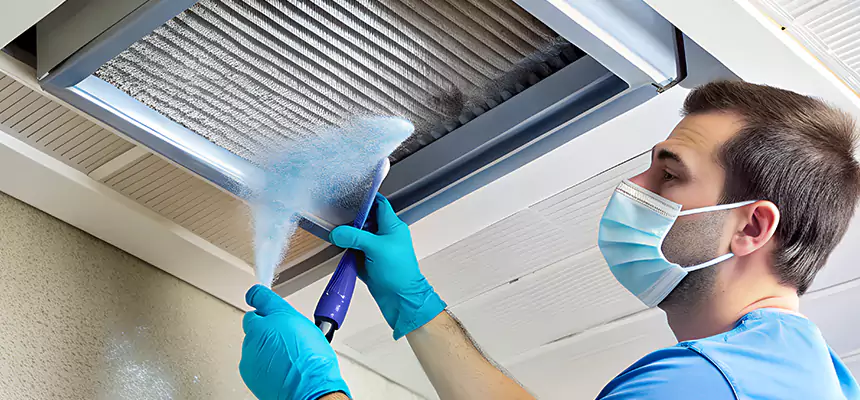 Proactive Dryer Vent & Auxiliary Duct Pollen Cleanup in Silverdale, WA