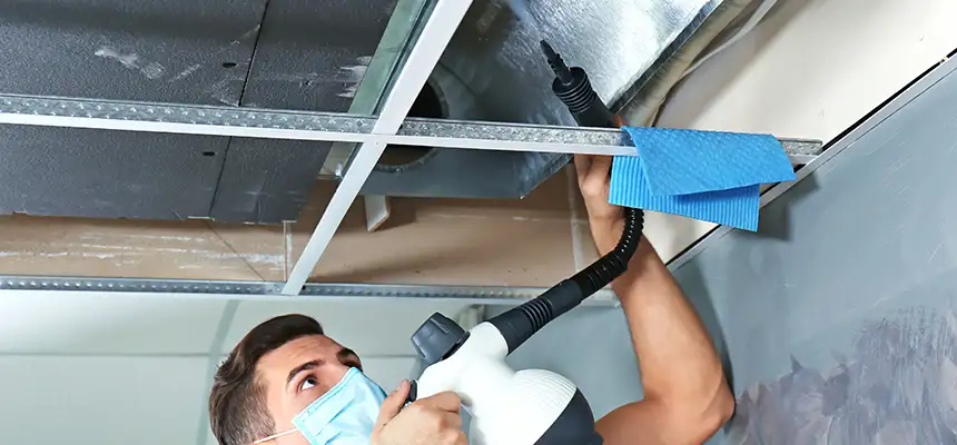 Our Air Duct Rodent Removal Services in Silverdale, WA