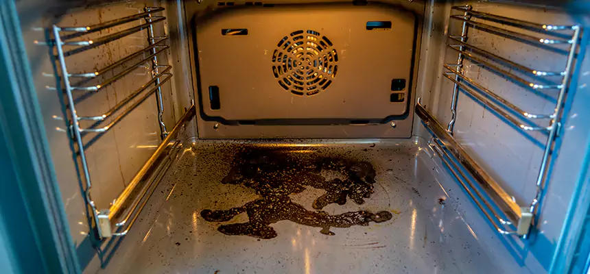 Our Dryer Vent Mold Cleaning Services in Silverdale, WA