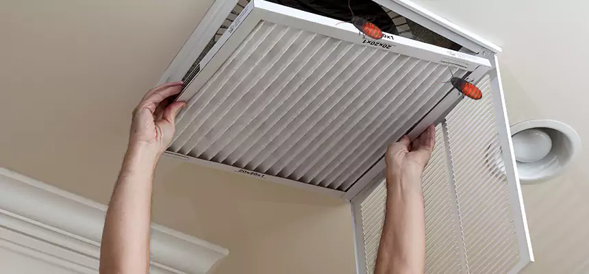Our Insect Removal from Air Ducts Services in Silverdale, WA
