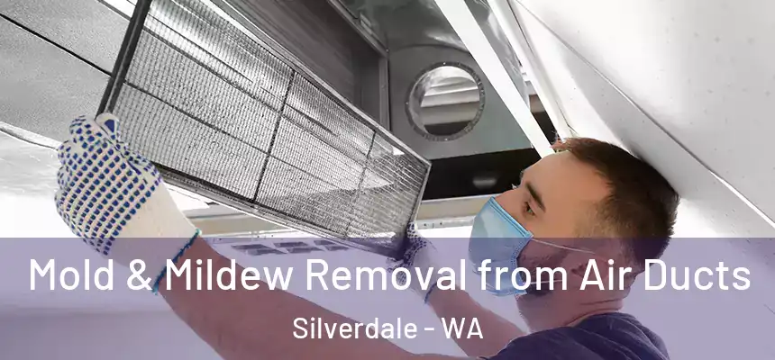 Mold & Mildew Removal from Air Ducts Silverdale - WA