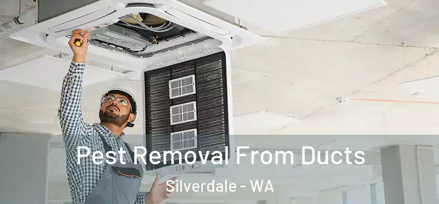  Pest Removal From Ducts Silverdale - WA