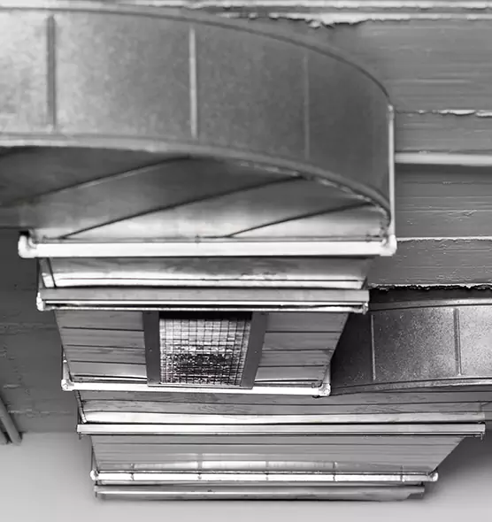 Professional Air Duct Pest Removal in Silverdale, WA