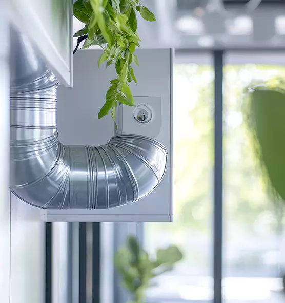 Professional Eco-Friendly Duct Cleaning Services in Silverdale, WA