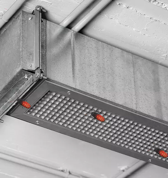 Affordable Insect Removal from Air Ducts in Silverdale, WA