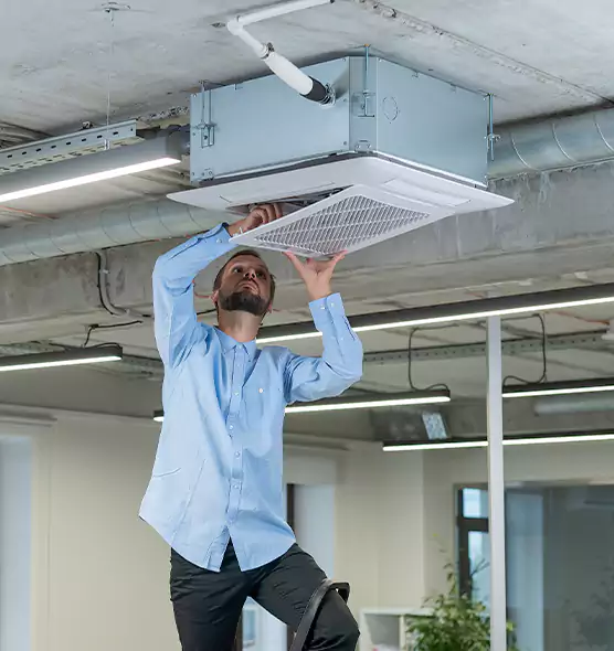 Advanced Rodent Droppings In Vents in Silverdale, WA