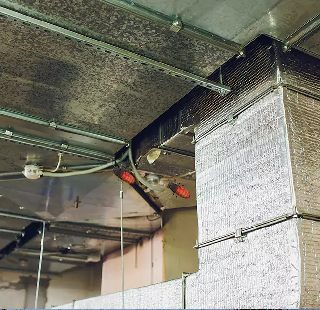 Why Homeowners & Businesses Trust Us in Silverdale, WA?