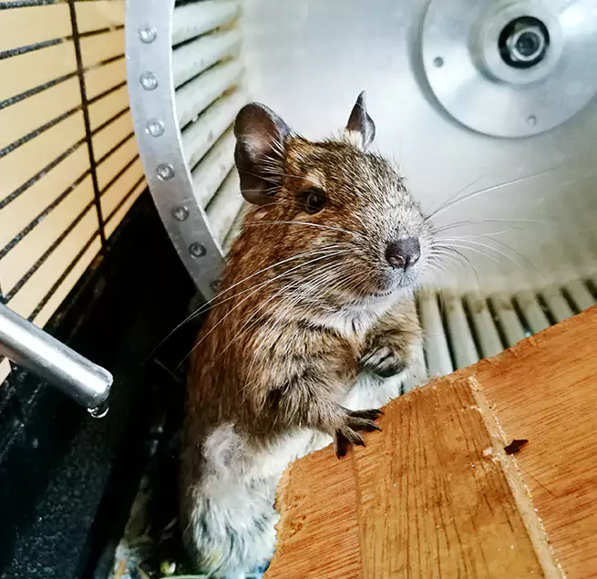 Why Homeowners & Businesses Trust Us Silverdale, WA