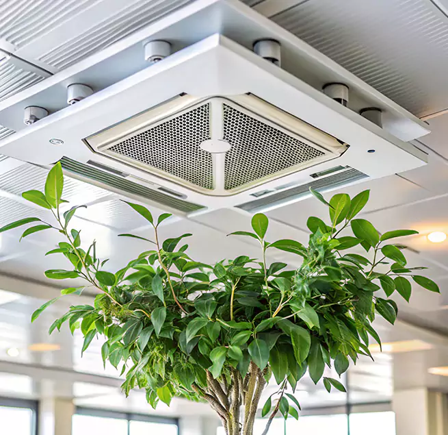 Why Homeowners & Businesses Trust Us in Silverdale, WA?