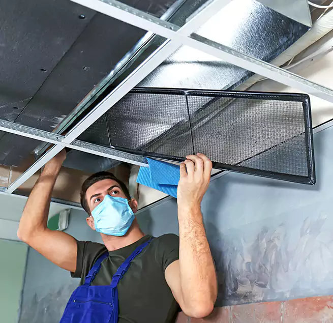 Why Homeowners Businesses Trust Us in Silverdale, WA